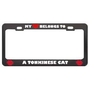 My Heart Belongs To A Tonkinese Cat Animals Pets Metal License Plate 