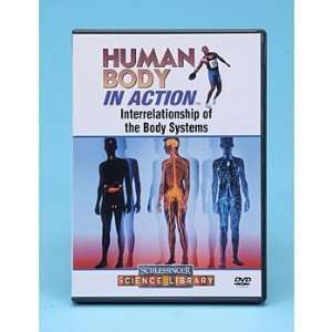 Human Body in Action Interrelationships of the Body Systems DVD 