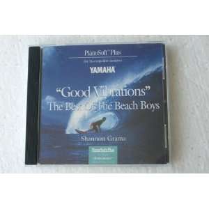 Good Vibrations The Best of the Beach Boys by Shannon Grama   for use 