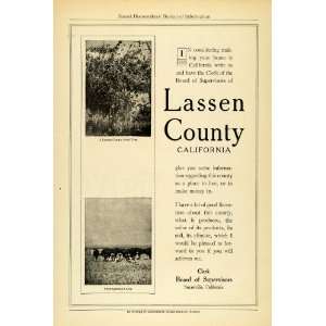  1914 Ad Lassen County California Susanville Chamber Commerce 