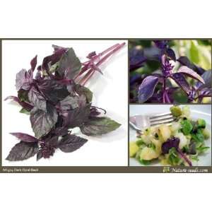 Nature Seeds Dark Opal Basil Purple Basilicum Herb 200 Gardening Seeds 