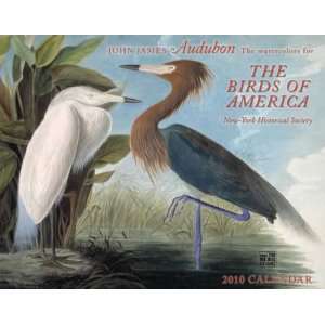  Audubon The Watercolors of Birds of America 2010 Wall 