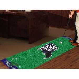  Tampa Bay Rays Golf Putting Green Runner Area Rug Sports 