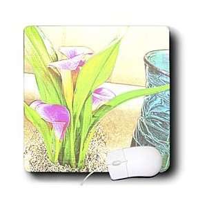  Patricia Sanders Flowers   Pink Calla Lily Flowers and 