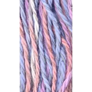  Berroco Linsey Tisbury 6507 Yarn: Arts, Crafts & Sewing