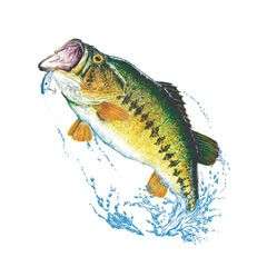 Large Mouth Bass Fishing T shirt S/S 119  