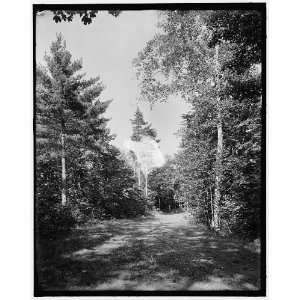   Point,N.Y.,Hotel Champlain,birches,pines,Green Drive: Home & Kitchen