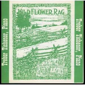    Wildflower Rag   Trebor Tichenor, Piano [audio CD] 