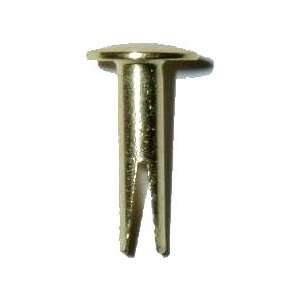  Split Rivets 5/8   Brass Plated