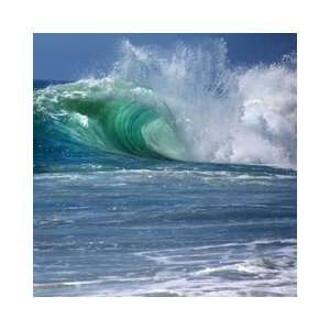  SugarTree   12 x 12 Paper   Surfs Up   Big Wave Arts 