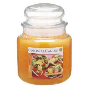  Pack of 4 Mango Salsa Aromatic Jar Candles 15oz