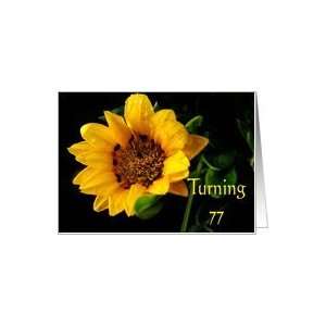  77th Birthday, yellow Gazania Card Toys & Games