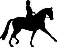 Dressage Horse & Rider Equestrian Sticker/Decal  