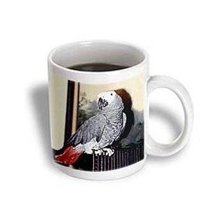 African Grey Parrot   11oz Mug