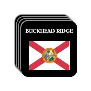  US State Flag   BUCKHEAD RIDGE, Florida (FL) Set of 4 Mini 