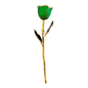  Gold Dipped Green Rose