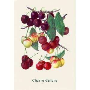  Vintage Art Cherry Gallery   04172 2