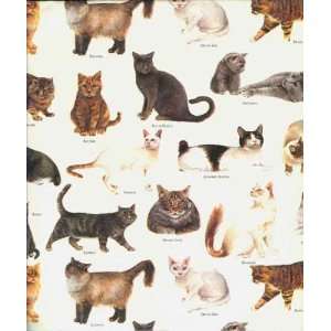  Cats of the World Gift Wrap Paper