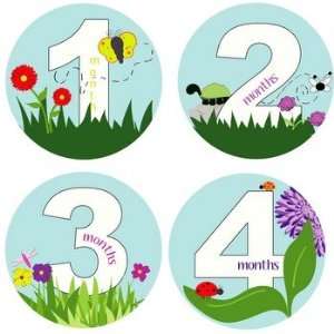  Bugs and Flowers Monthly Baby Bodysuit Stickers: Baby