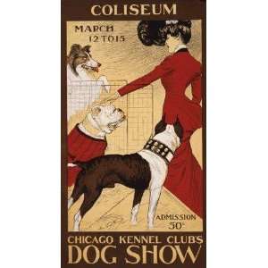  DOG Show Chicago Kennel Club Coliseum, Bull Dog, Collie, Boxer 