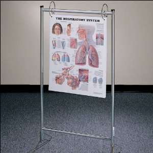 Anatomical Chart Company   Portable Chart Stand:  