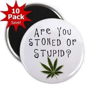 Creative Clam Stoned Or Stupid Marijuana Pot Leaf 10 pack Of 2.25 Inch 