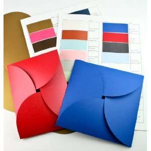  Pochette Sample Kit (1 Sampler) Arts, Crafts & Sewing