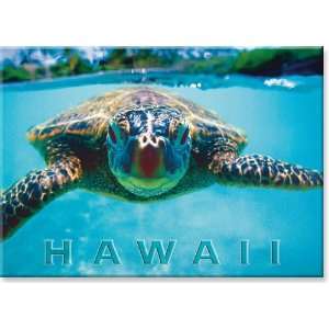  Honu (Hawaii Sea Turtle) by Kirk Lee Aeder   Hawaiian Art 