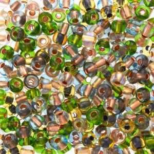  63210002 001 Color Lined Earth Tone Czech Seed Beads Tube 