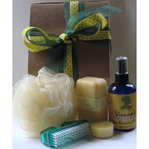  Citrus Aromatherapy Gift Set. Great Holiday Gift!: Beauty