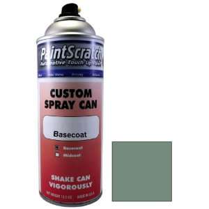 12.5 Oz. Spray Can of Dark Green Gray Metallic Touch Up Paint for 1996 