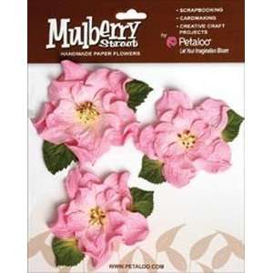  Mulberry Street Handmade Paper Wild Roses 3/Pkg Pink Toys 