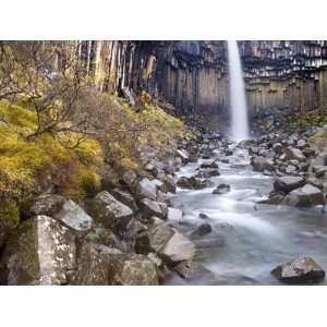  Svartifoss Waterfall in the Skaftafell National Park 