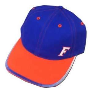  Nike Florida Gators Royal Blue Gradation Hat Sports 