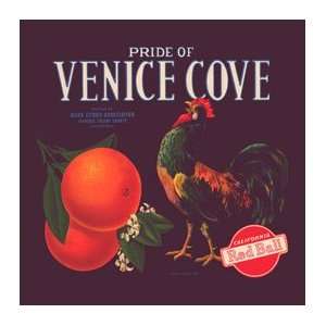   Venice Cove Metal Sign Country Home Decor Wall Accent