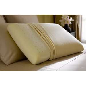  Restful Nights ® Memory Foam Standard Pillow: Home 