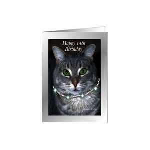  14th Happy Birthday ~ Spaz the Cat Card Toys & Games