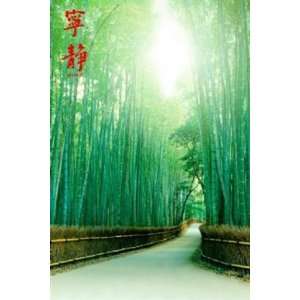  Bamboo Path Nature Scenic Photography Poster 24 x 36 