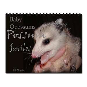  Baby Possum Animal Wall Calendar by  Office 