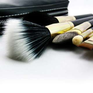 12 PCs Newest Professional Makeup Brush Set + 2 Case  