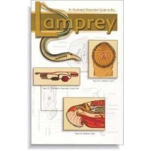  Illustrated Dissection Guide Book To Lamprey Everything 