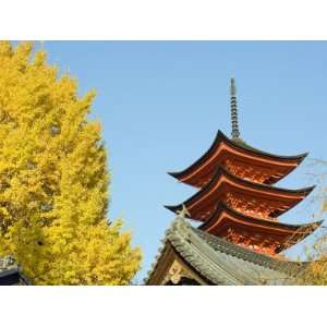 Pagoda and Gingko Trees, Itsukushima Shrine, UNESCO World Heritage 