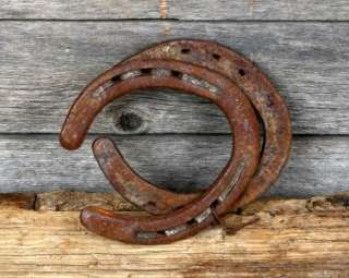 Rustic Lucky Horseshoes Western Decor Texas Rusted  