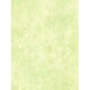   Scroll Texture Green Wallpaper in Crazy About Kids
