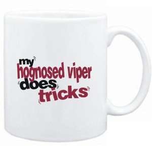 Mug White  My Hognosed Viper does tricks  Animals  