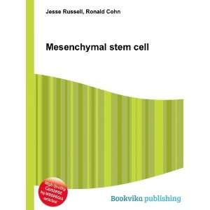  Mesenchymal stem cell Ronald Cohn Jesse Russell Books