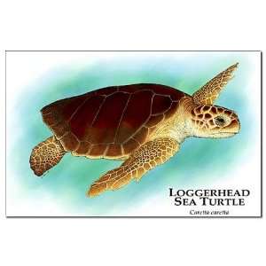 Loggerhead Sea Turtle Drawing Mini Poster Print by 