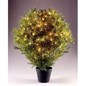    lit Potted Artificial Globe Juniper Tree #LCB 300 30: Home & Kitchen