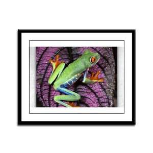   Framed Panel Print Red Eyed Tree Frog on Purple Leaf: Everything Else