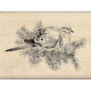  Inkadinkado Dove Wood Stamp Arts, Crafts & Sewing